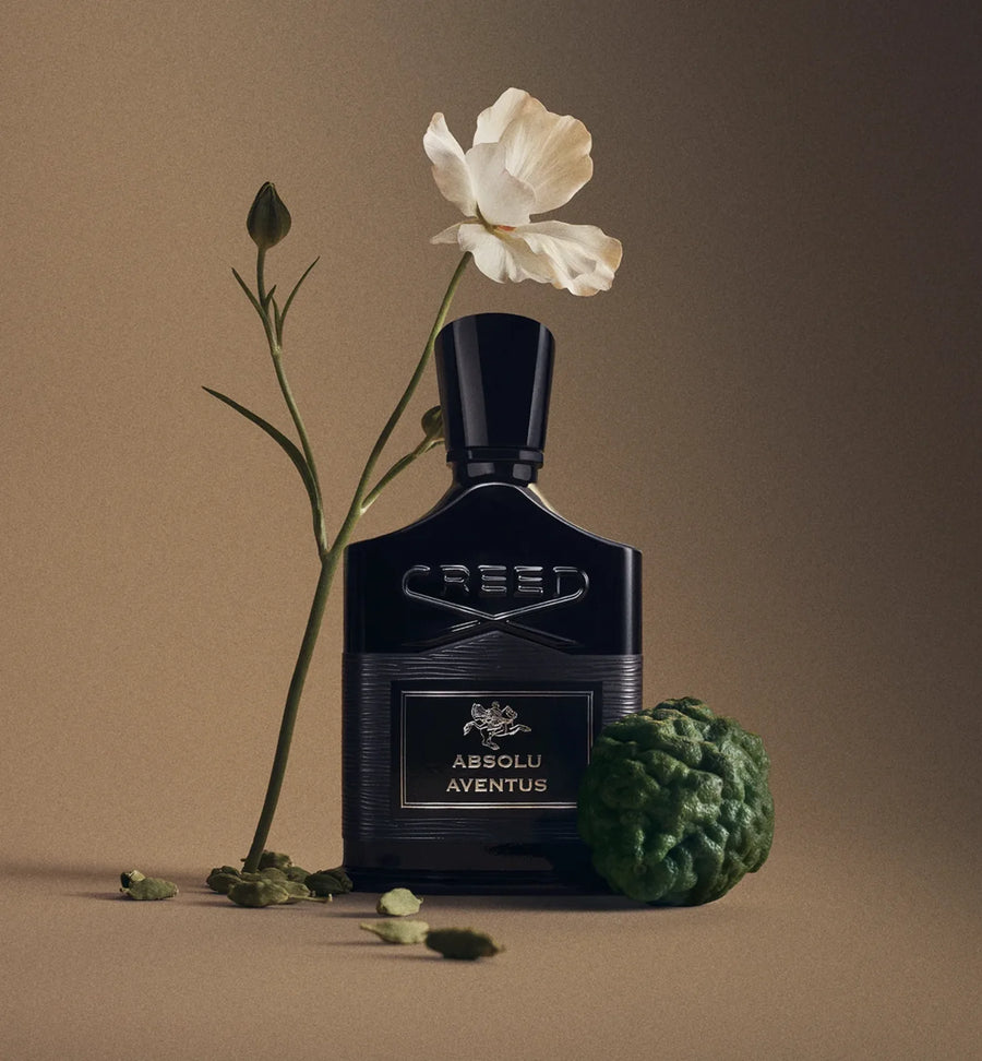 absolu aventus notes