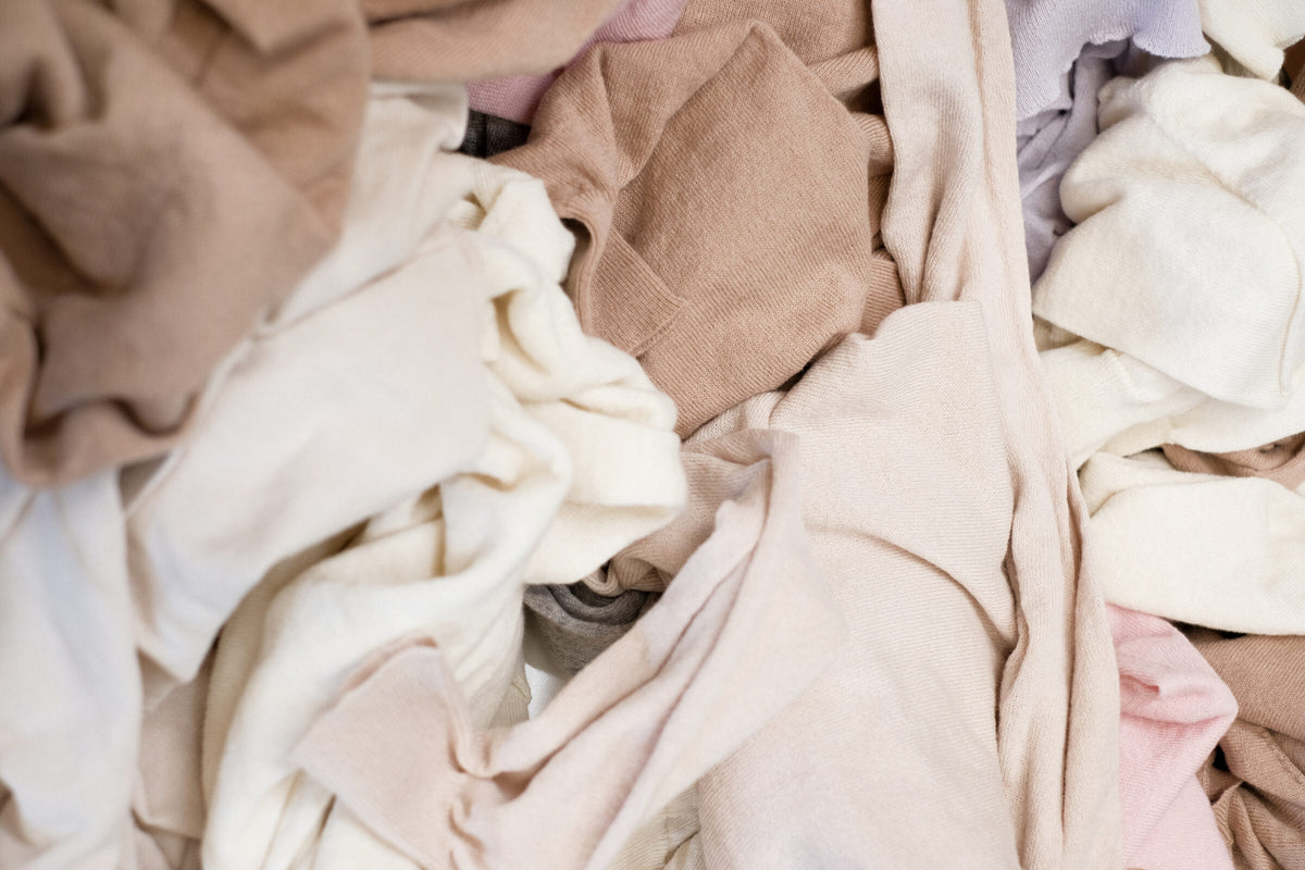 Kangra cashmere
